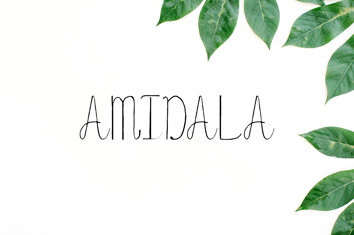 Amidala Font for Web Design