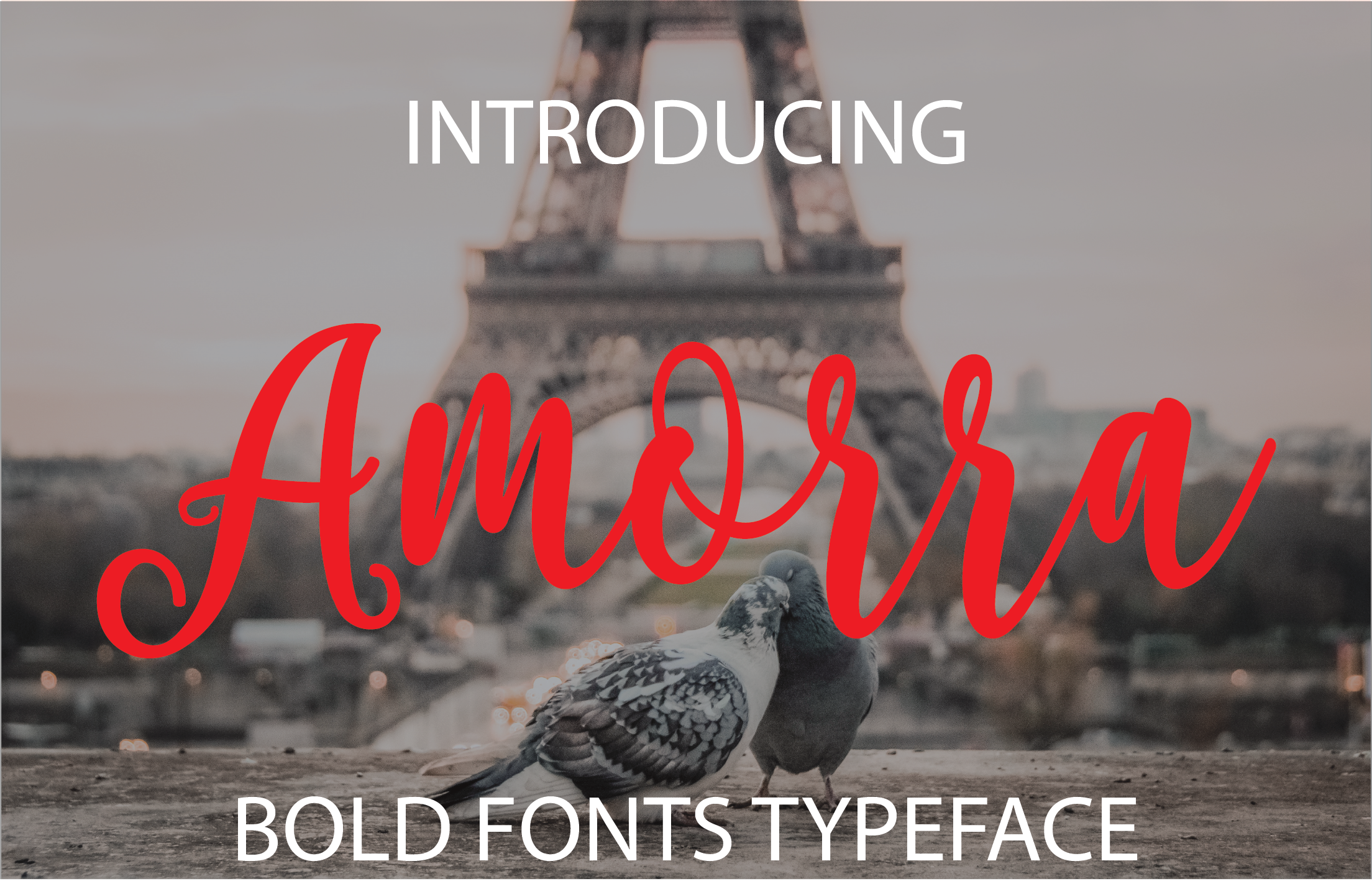 Amorra Font: Elegant Script for Editorial Design