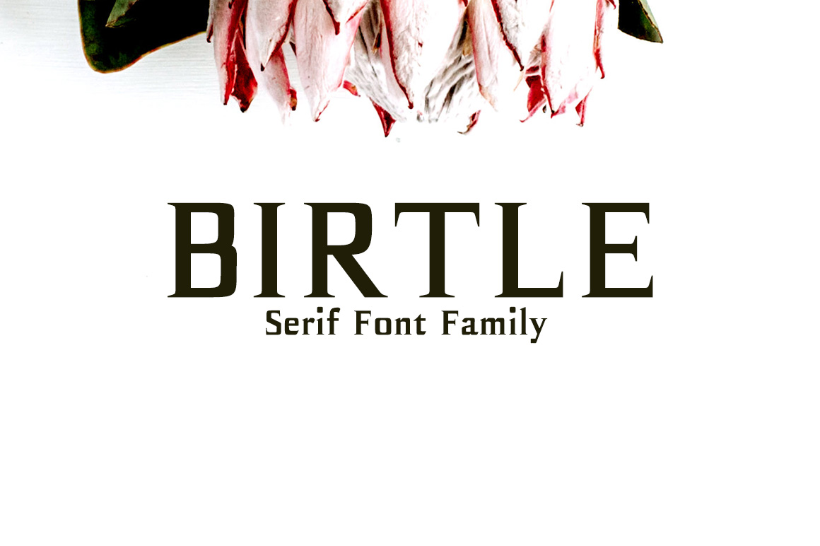 Birtle Font: Modern Serif for Business Branding