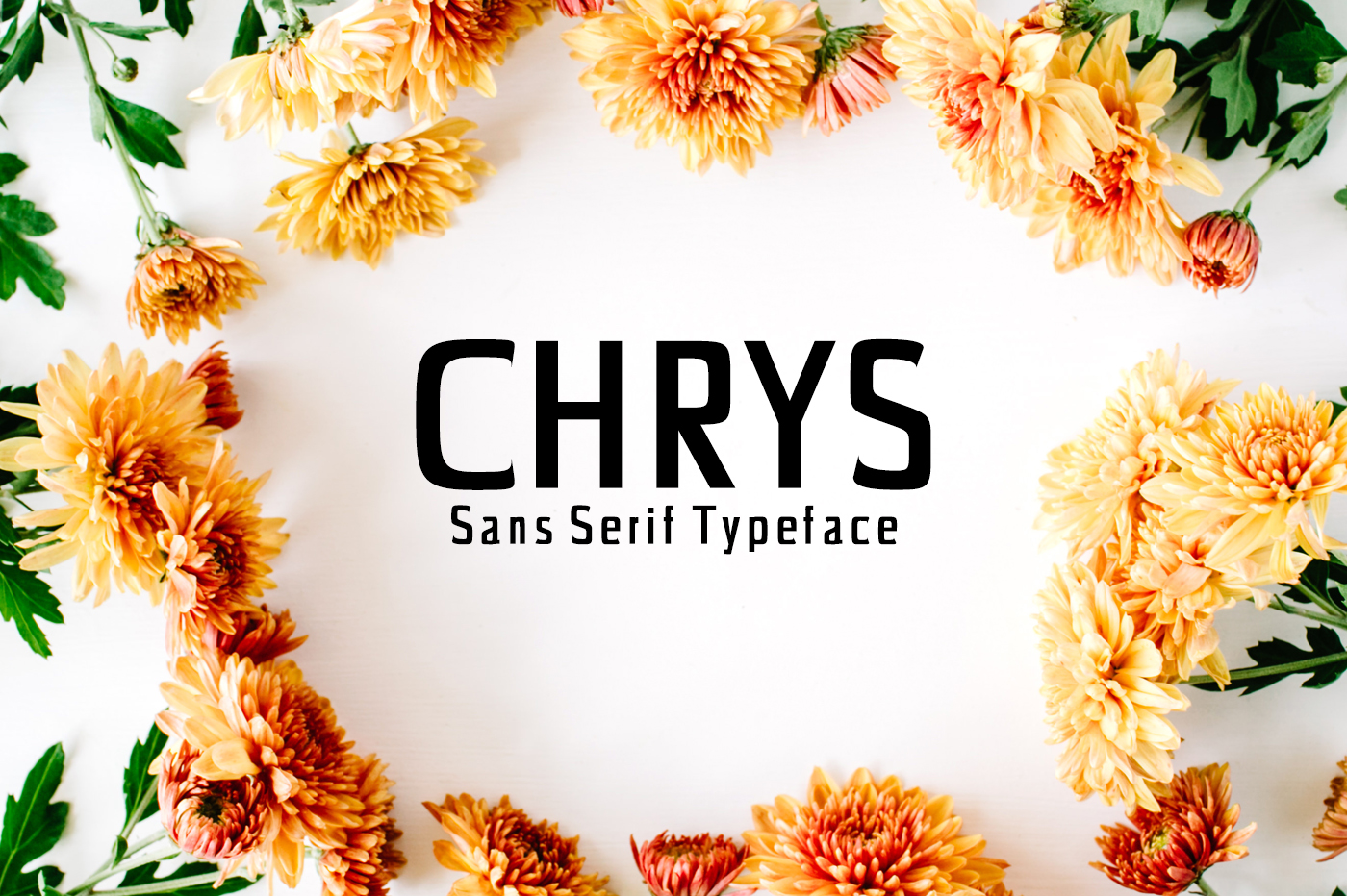 Chrys: Bold Sans Serif Font