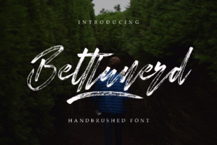 Elevate Your Brand with Bettlunerd Modern Typeface