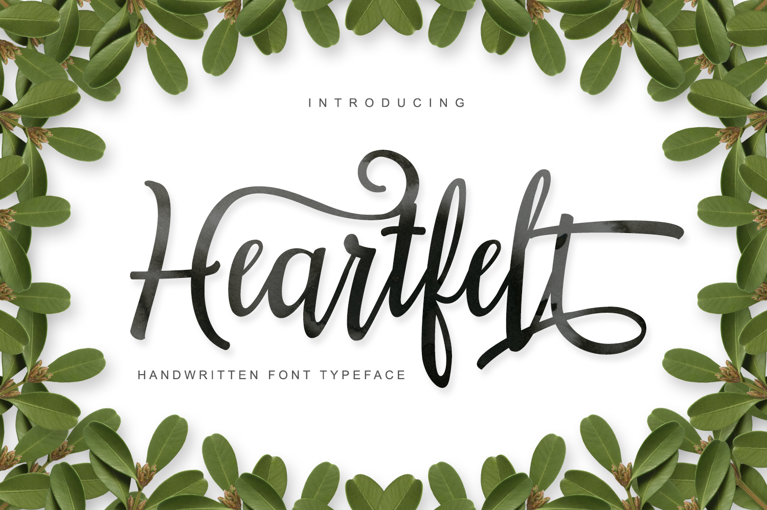 Heartfelt Font Review: A Versatile Script for Branding