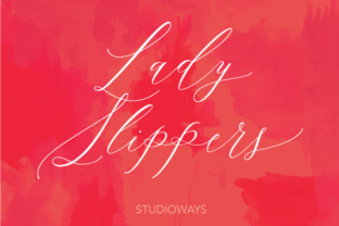 Lady Slippers Font for Elegant Branding