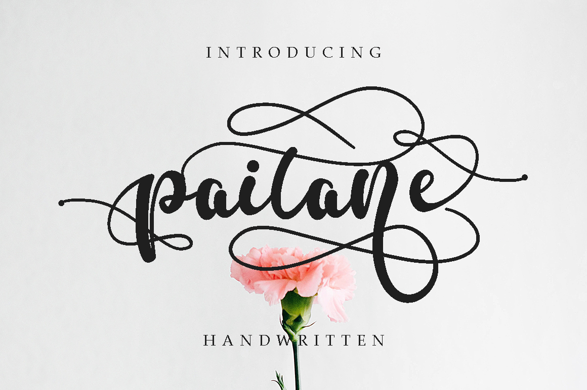 Paitane: A Modern Script Font for Small Business Branding