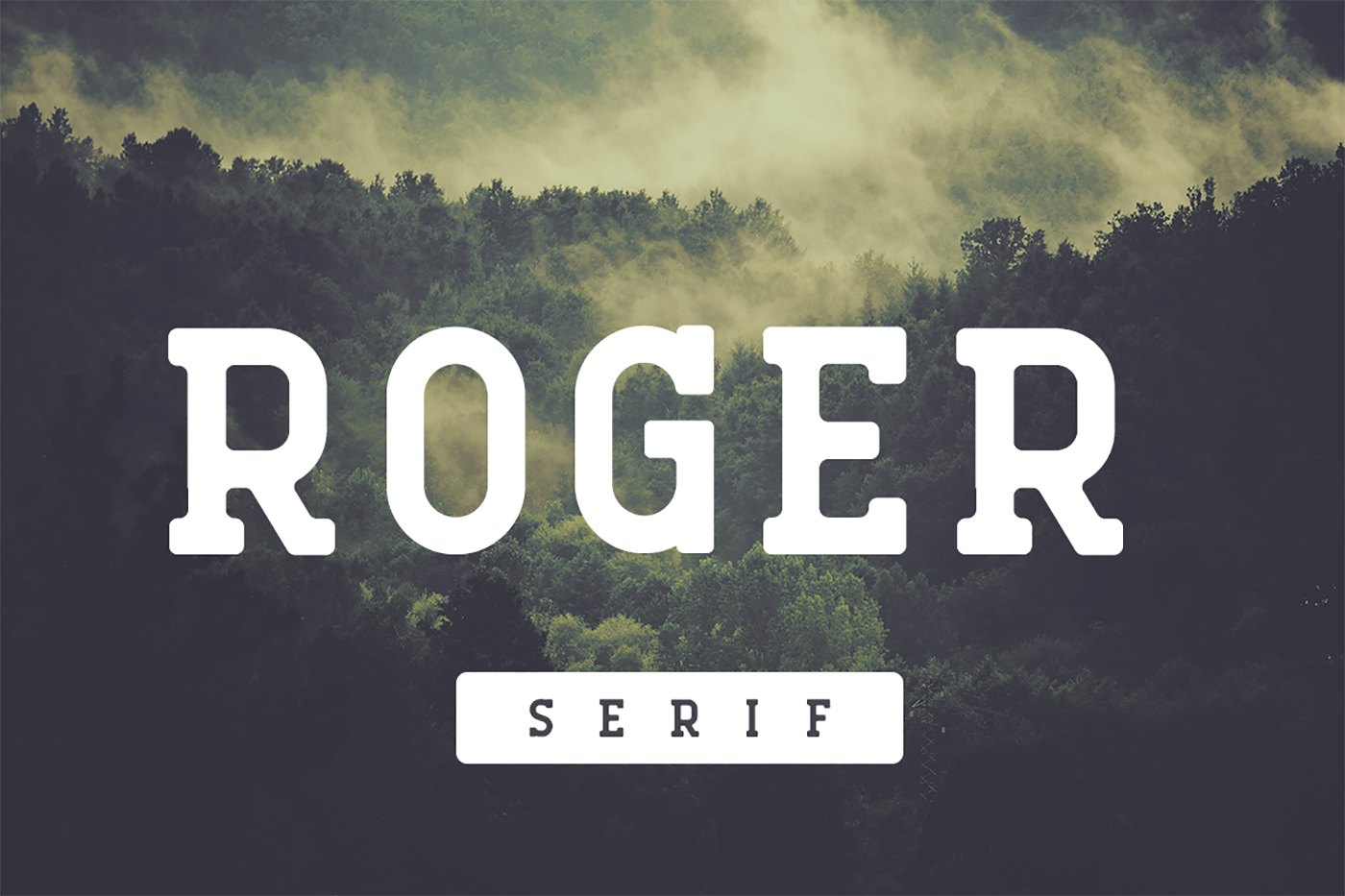 Roger Serif Font for Bold Design
